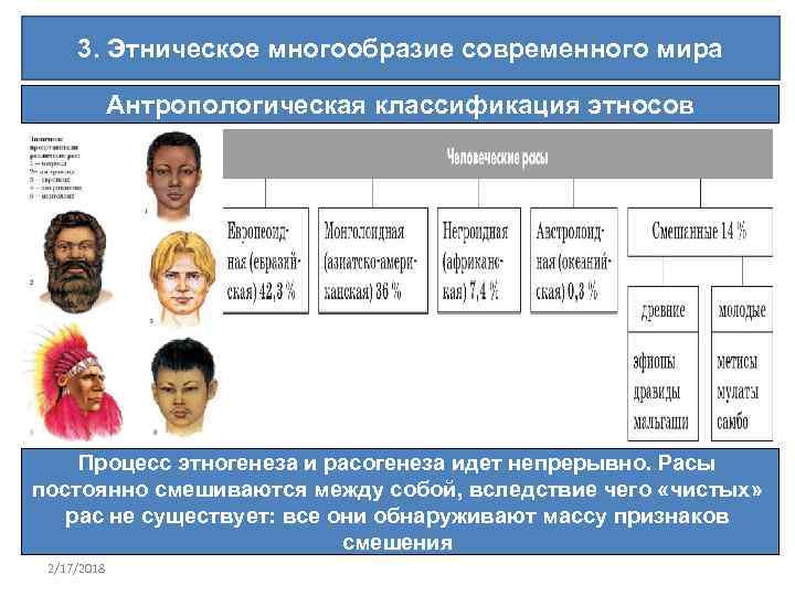 3. Этническое многообразие современного мира Антропологическая классификация этносов Процесс этногенеза и расогенеза идет непрерывно.