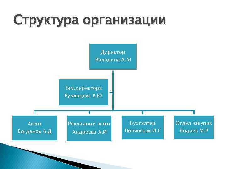 Структура организации Директор Володина А. М Зам. директора Румянцева В. Ю Агент Богданов А.