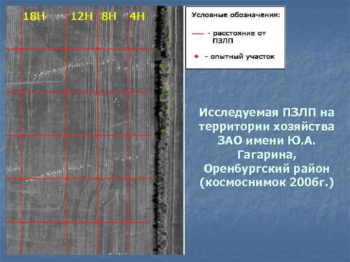 Исследуемая ПЗЛП на территории хозяйства ЗАО имени Ю. А. Гагарина, Оренбургский район (космоснимок 2006