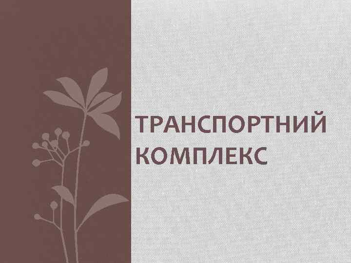 ТРАНСПОРТНИЙ КОМПЛЕКС 