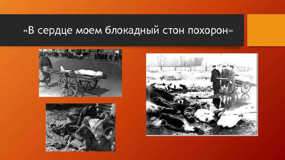  «В сердце моем блокадный стон похорон» 