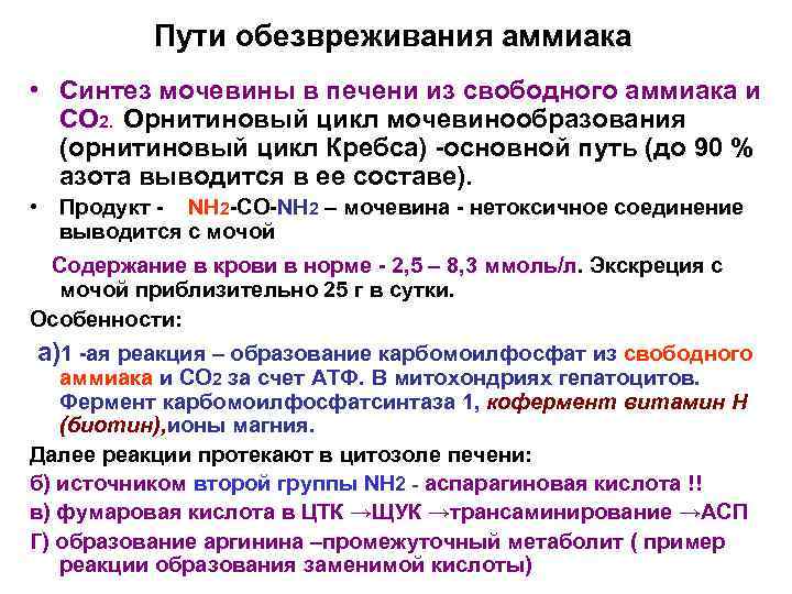 Пути обезвреживания аммиака • Синтез мочевины в печени из свободного аммиака и СО 2.