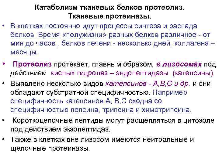 Катаболизм тканевых белков протеолиз. Тканевые протеиназы. • В клетках постоянно идут процессы синтеза и