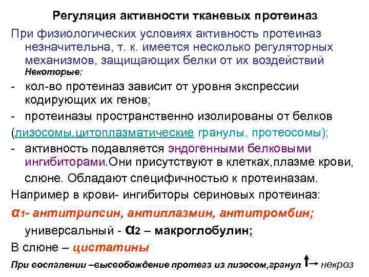 Регуляция активности тканевых протеиназ При физиологических условиях активность протеиназ незначительна, т. к. имеется несколько