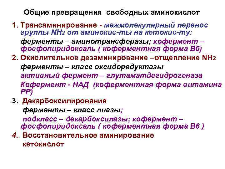 Общие превращения свободных аминокислот 1. Трансаминирование - межмолекулярный перенос группы NH 2 от аминокис-ты