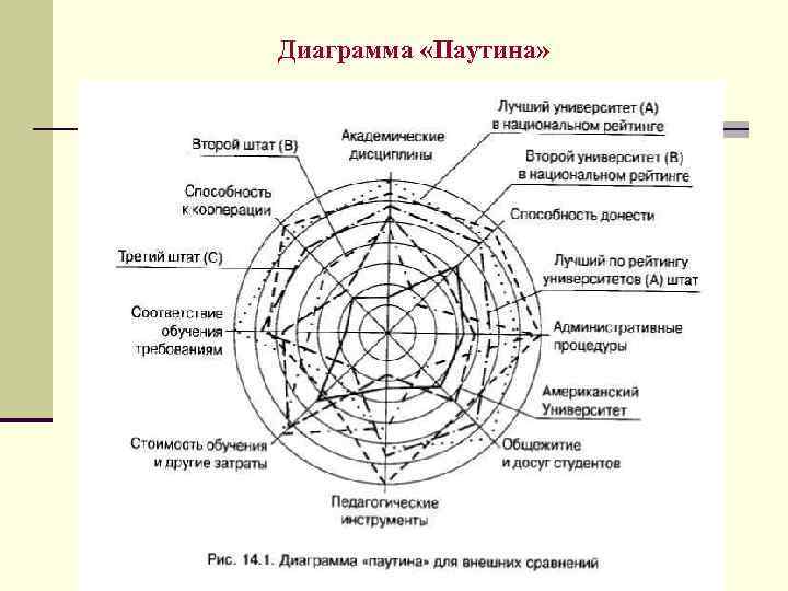 Диаграмма в виде паутины