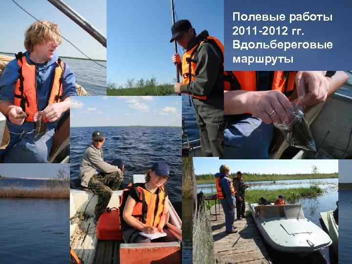 Полевые работы 2011 -2012 гг. Вдольбереговые маршруты 