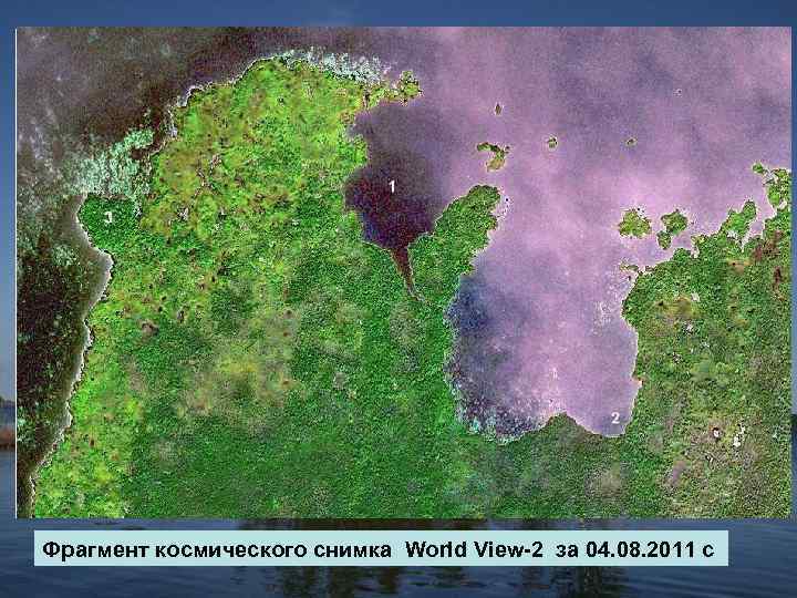 GPS-съемка 2011 г. Фрагмент космического снимка World View-2 за 04. 08. 2011 с 