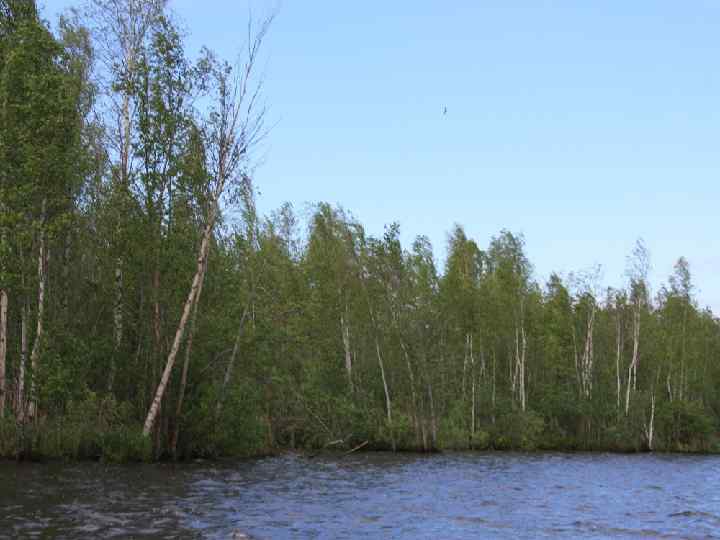 GPS-съемка мая 2012 г. 360 м 