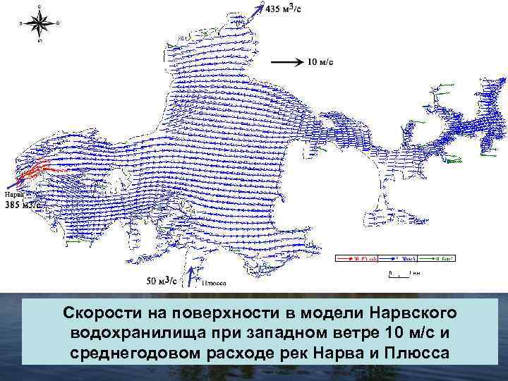 Скорости на поверхности в модели Нарвского водохранилища при западном ветре 10 м/с и среднегодовом