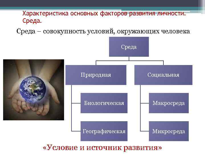 Характеристика основных факторов развития личности. Среда – совокупность условий, окружающих человека Среда Природная Социальная