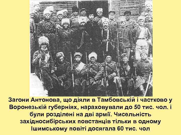 Загони Антонова, що діяли в Тамбовській і частково у Воронезькій губерніях, нараховували до 50