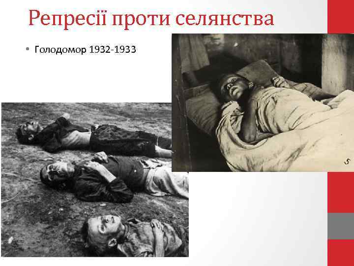 Репресії проти селянства • Голодомор 1932 -1933 
