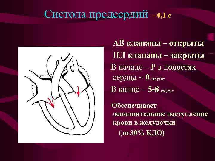 Систола предсердий – 0, 1 с АВ клапаны – открыты ПЛ клапаны – закрыты