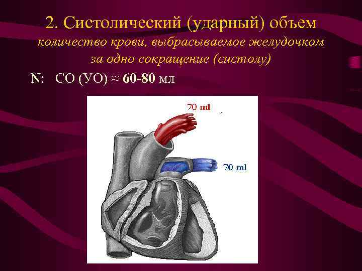 Сердечный объем. Ударный и минутный объем сердца. Систолический объем крови. Систолический и минутный объем крови. Систолический (ударный) объем.