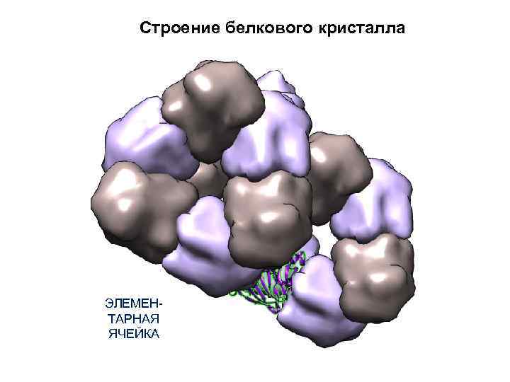 Строение белкового кристалла ЭЛЕМЕНТАРНАЯ ЯЧЕЙКА 