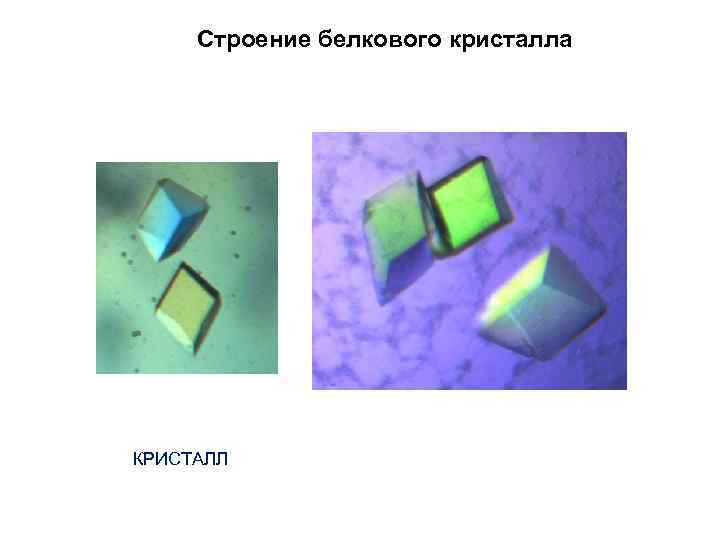 Строение белкового кристалла КРИСТАЛЛ 