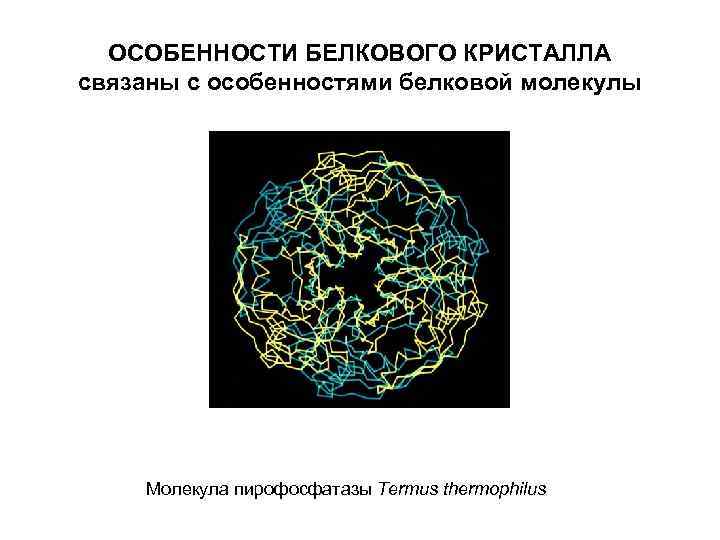 ОСОБЕННОСТИ БЕЛКОВОГО КРИСТАЛЛА связаны с особенностями белковой молекулы Молекула пирофосфатазы Тermus thermophilus 