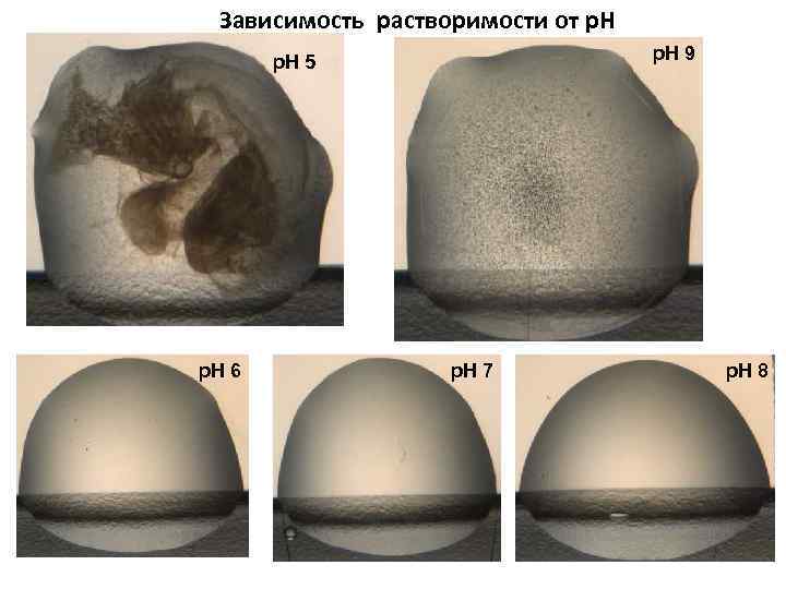 Зависимость растворимости от р. Н p. H 9 p. H 5 p. H 6