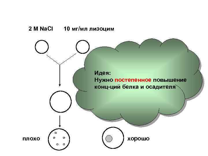 2 M Na. Cl 10 мг/мл лизоцим Идея: Нужно постепенное повышение конц-ций белка и