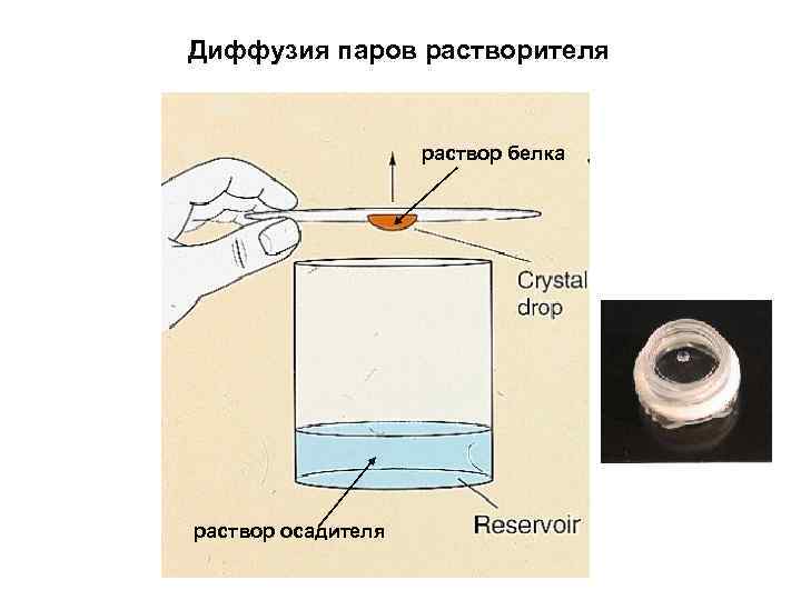 Диффузия паров растворителя раствор белка раствор осадителя 