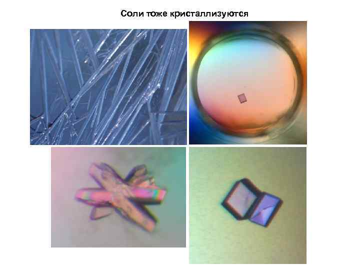 Соли тоже кристаллизуются 