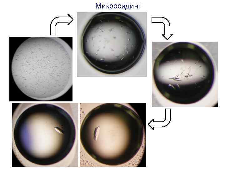Mикросидинг 