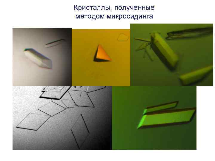 Кристаллы, полученные методом микросидинга 