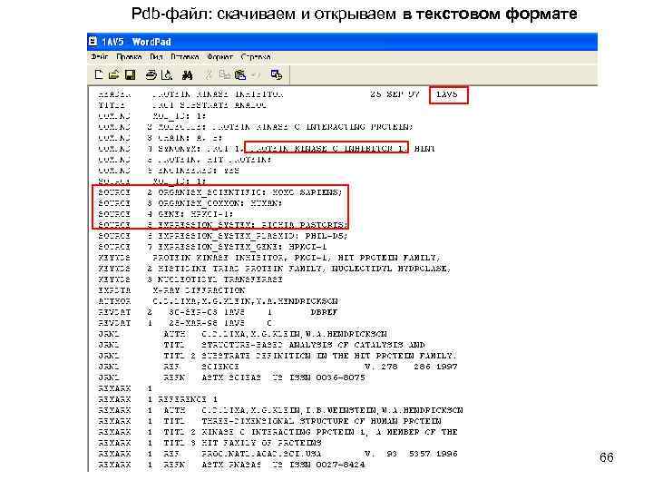 Pdb-файл: скачиваем и открываем в текстовом формате 66 
