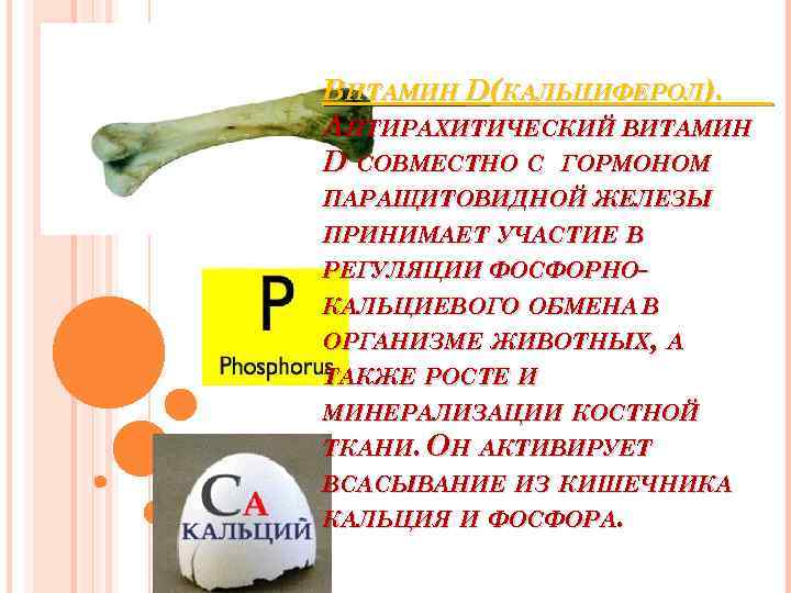 ВИТАМИН D(КАЛЬЦИФЕРОЛ). АНТИРАХИТИЧЕСКИЙ ВИТАМИН D СОВМЕСТНО С ГОРМОНОМ ПАРАЩИТОВИДНОЙ ЖЕЛЕЗЫ ПРИНИМАЕТ УЧАСТИЕ В РЕГУЛЯЦИИ