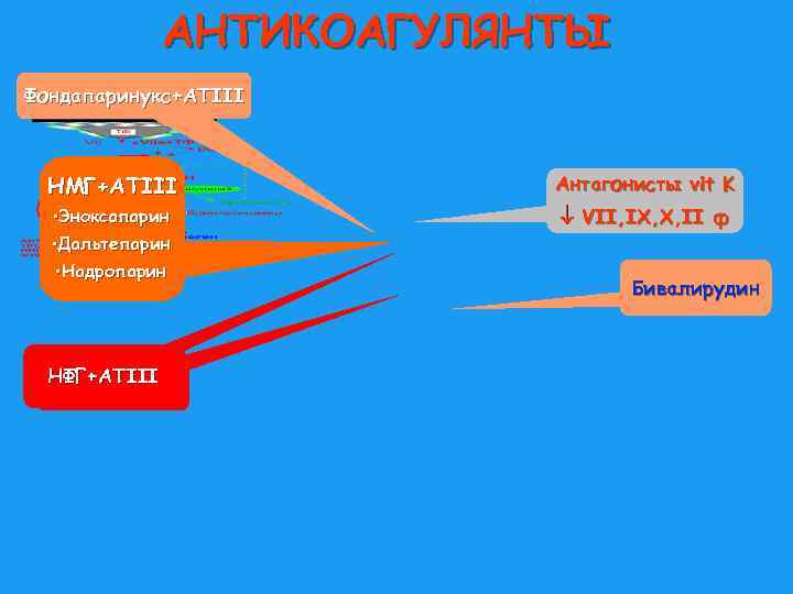 АНТИКОАГУЛЯНТЫ Фондапаринукс+АТIII НМГ+АТIII Антагонисты vit K • Эноксапарин • Дальтепарин VII, IX, X, II