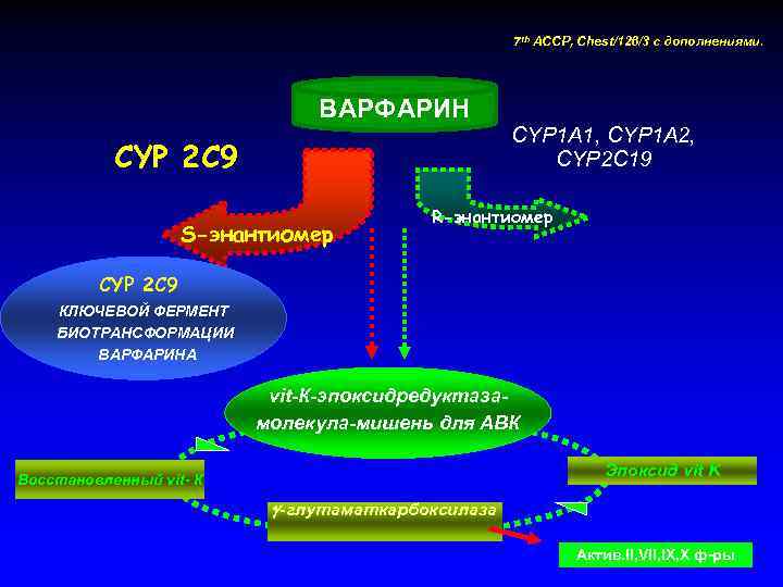 7 th ACCP, Chest/126/3 c дополнениями. ВАРФАРИН CYP 1 A 1, CYP 1 A