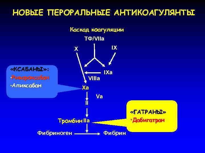 НОВЫЕ ПЕРОРАЛЬНЫЕ АНТИКОАГУЛЯНТЫ Каскад коагуляции ТФ/VIIa IX X «КСАБАНЫ» : • Ривароксабан • Апиксабан