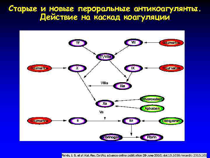 Старые и новые пероральные антикоагулянты. Действие на каскад коагуляции 