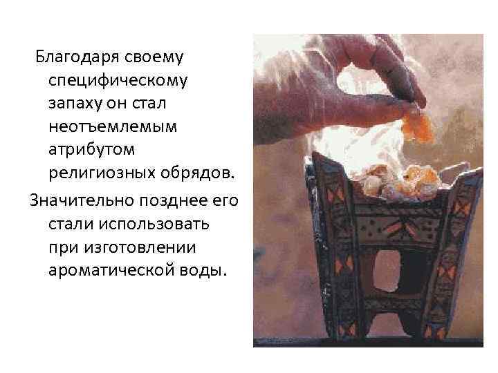 Благодаря своему специфическому запаху он стал неотъемлемым атрибутом религиозных обрядов. Значительно позднее его стали