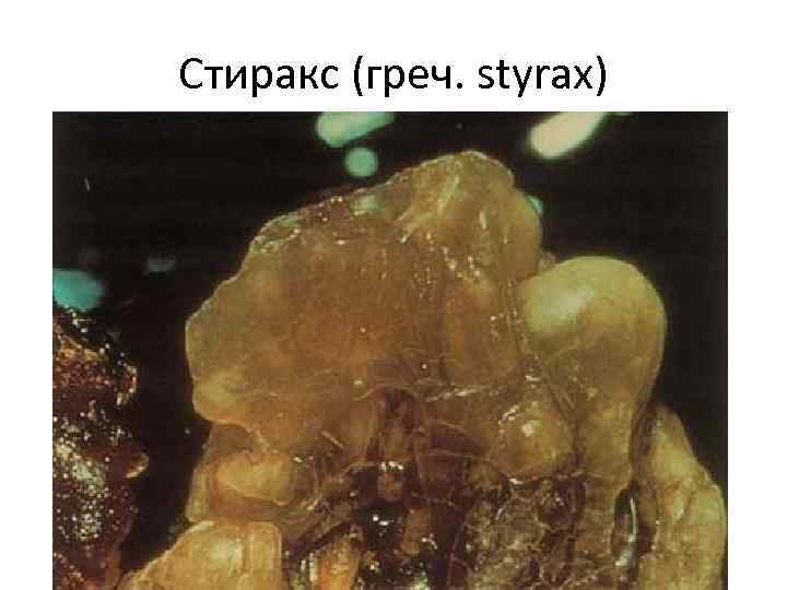 Стиракс (греч. styrax) 