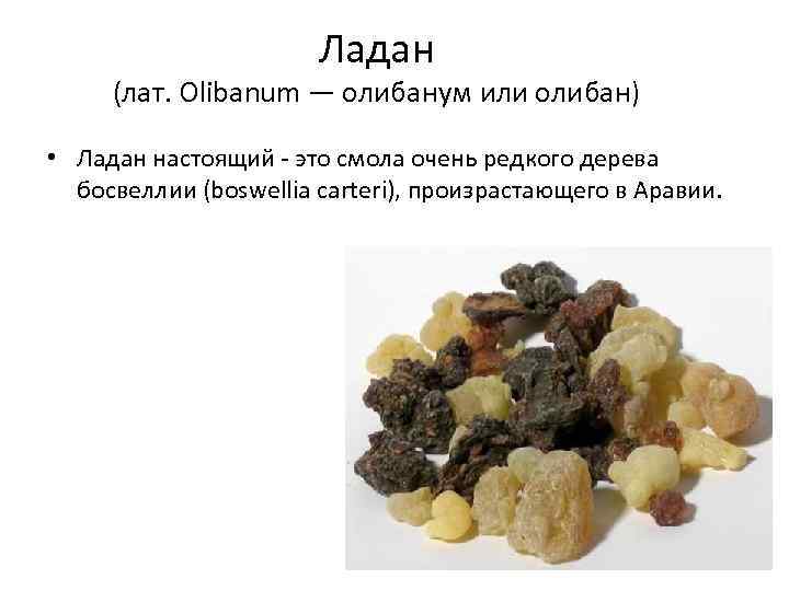 Ладан (лат. Olibanum — олибанум или олибан) • Ладан настоящий - это смола очень