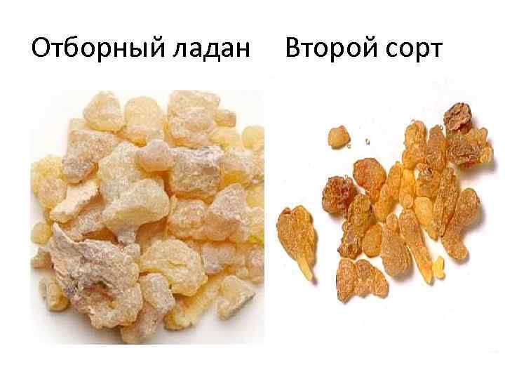 Отборный ладан Второй сорт 