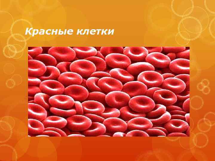 Красные клетки 