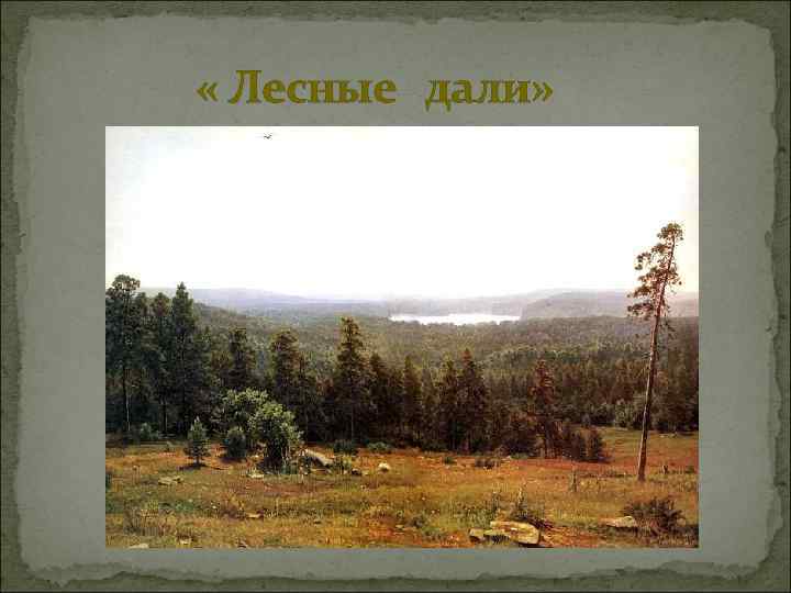  « Лесные дали» 