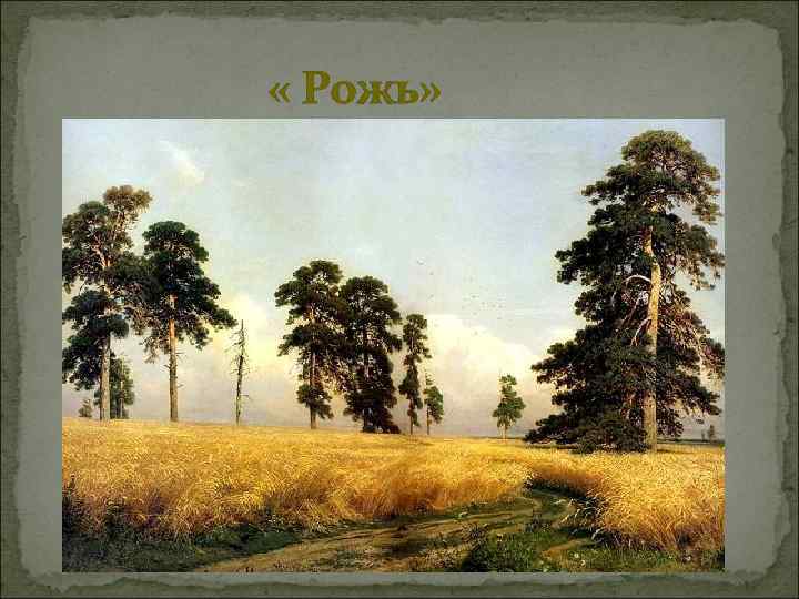  « Рожь» 