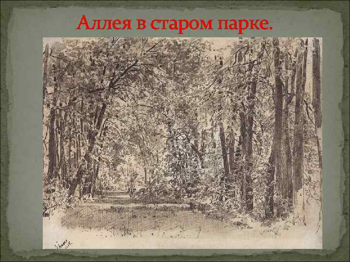 Аллея в старом парке. 