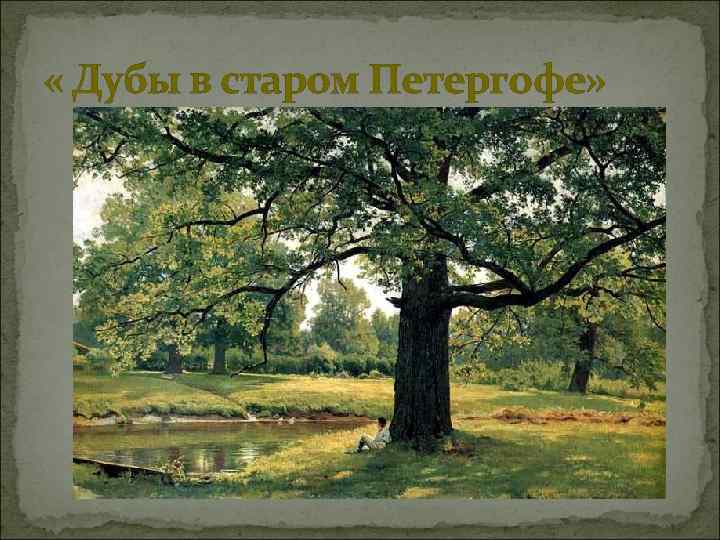  « Дубы в старом Петергофе» 