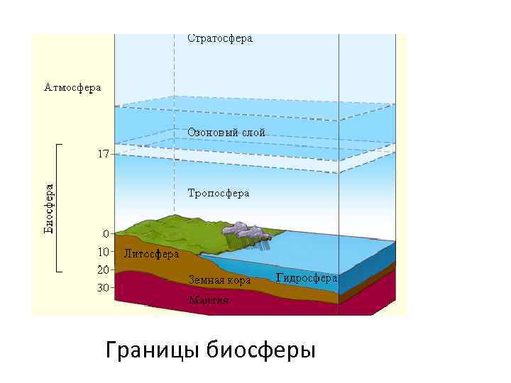 Границы биосферы 