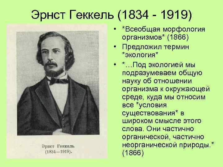 Предложен термин