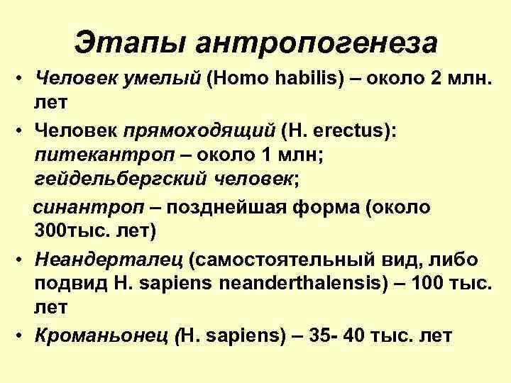 Этапы антропогенеза • Человек умелый (Homo habilis) – около 2 млн. лет • Человек