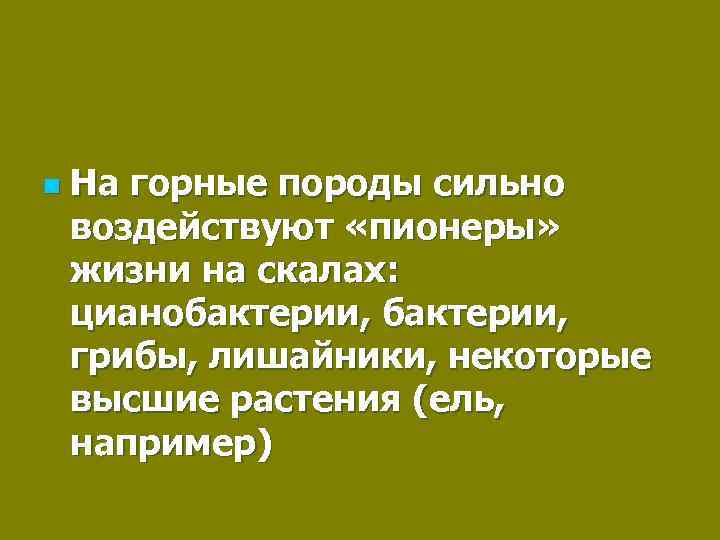 n На горные породы сильно воздействуют «пионеры» жизни на скалах: цианобактерии, грибы, лишайники, некоторые