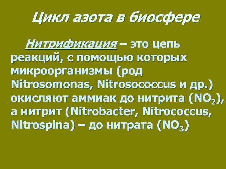 Цикл азота в биосфере Нитрификация – это цепь реакций, с помощью которых микроорганизмы (род