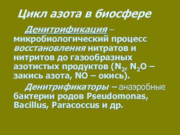 Цикл азота в биосфере Денитрификация – микробиологический процесс восстановления нитратов и нитритов до газообразных