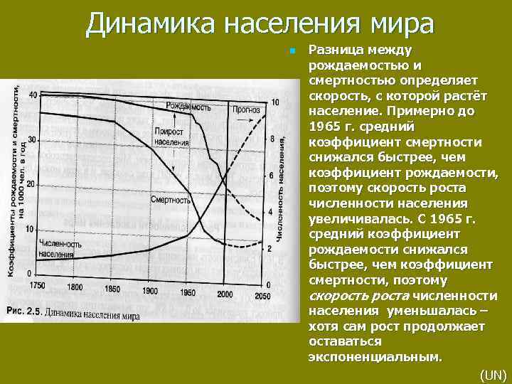 Динамика населения мира n Разница между рождаемостью и смертностью определяет скорость, с которой растёт